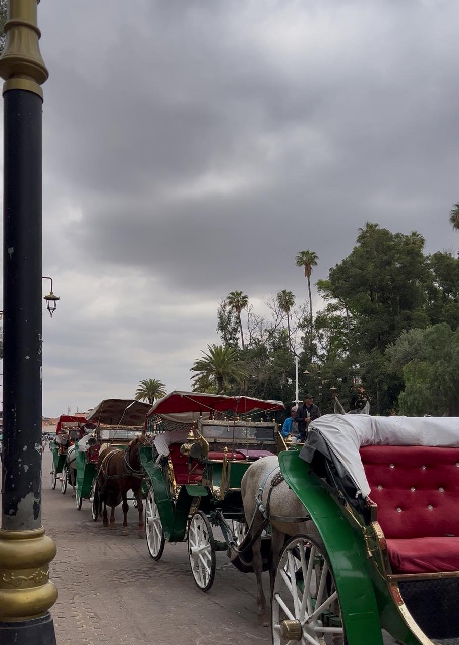 Balade En Calèche Marrakech