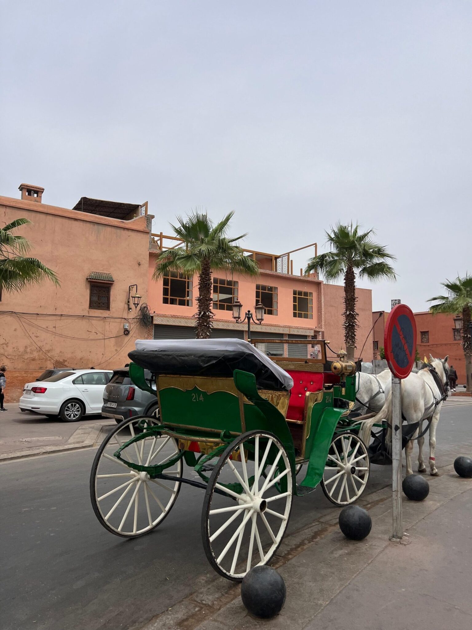 Caleche-Marrakech-scaled