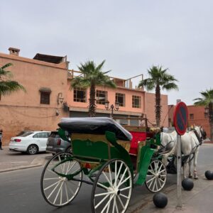 Balade En Calèche Marrakech
